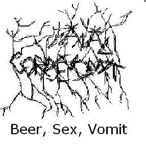 Beer, Sex Vomit
