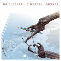 Sidereal Journey