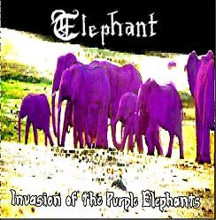 Invasion of The Purple Elephants