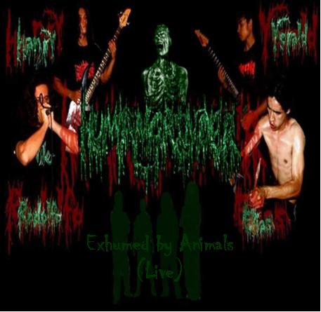 Exhumed by animals